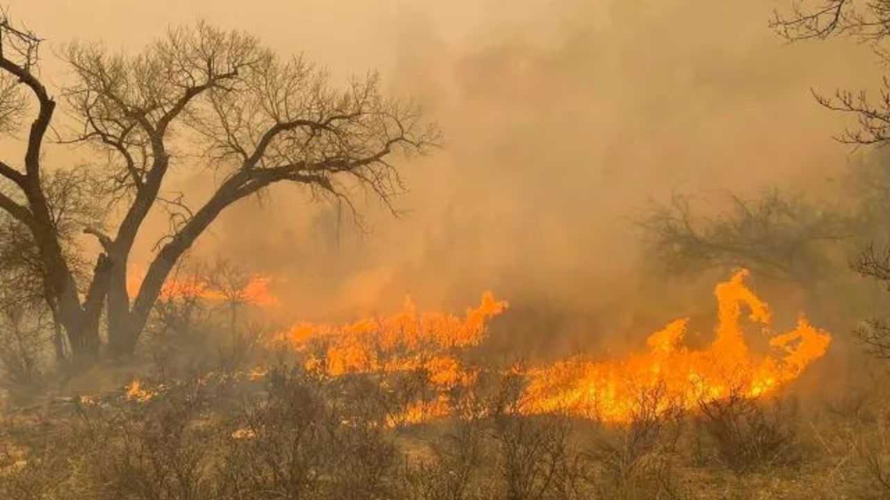 Texas Panhandle Wildfire Surges, Becoming Second-Largest in State’s History