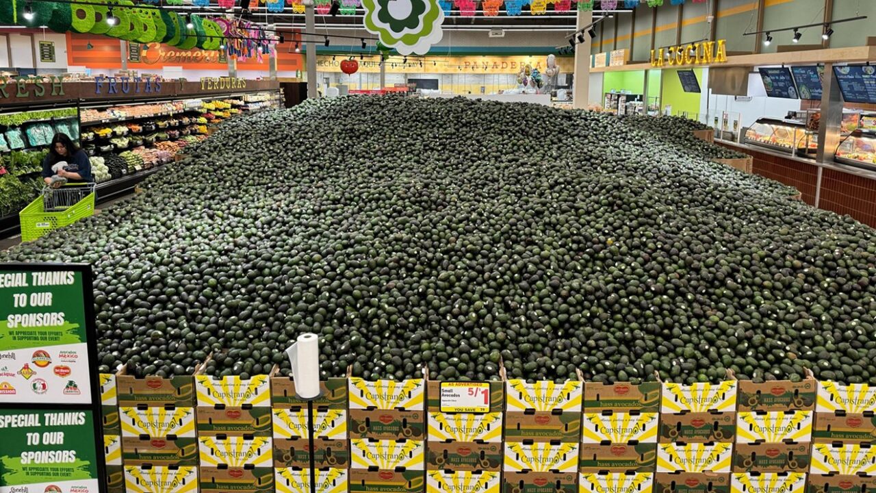 Record-Breaking Avocado Display at DFW Latin Market Enters Guinness World Records