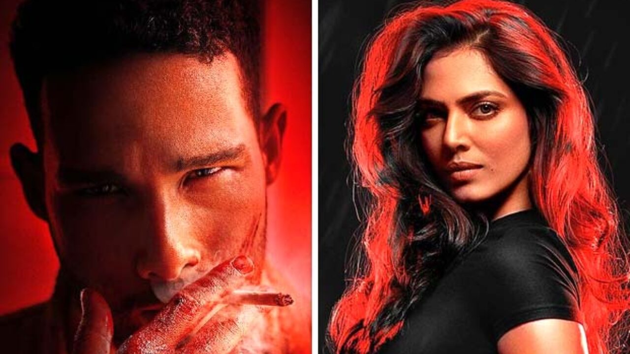 Yudhra Trailer Release Date Announced: Siddhant Chaturvedi and Malavika Mohanan Star in New Action-Packed Film